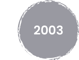 Icon 2003